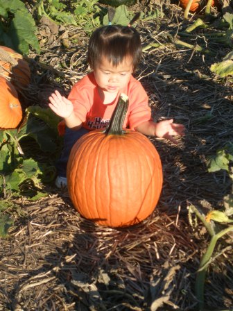 Karis in the pumpkin patch